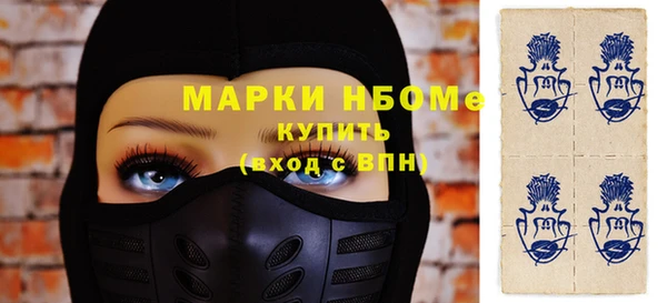 кокс Ельня