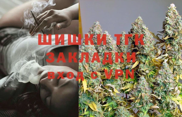 кокс Ельня