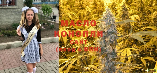 кокс Ельня