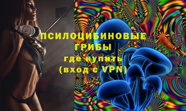 кокс Ельня