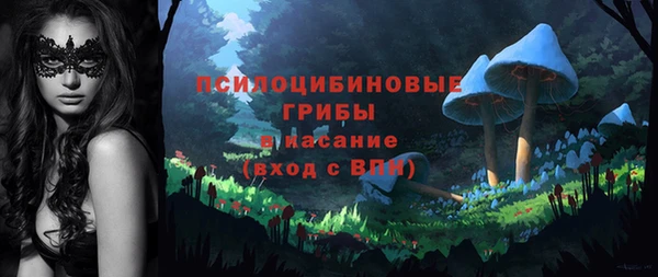 гашик Усолье-Сибирское