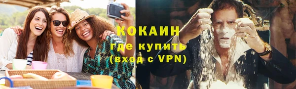 винт Елизово