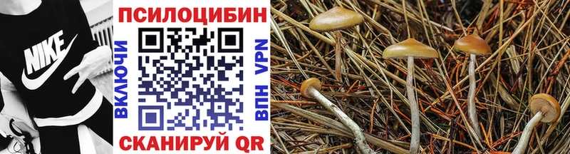 мега вход  Цимлянск  Псилоцибиновые грибы ЛСД 